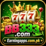 BB 333 Game Icon
