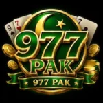977Pak Icon
