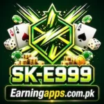 Sk E999 Logo