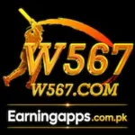 W567 Icon