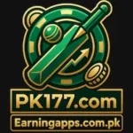 Pk177 Game icon
