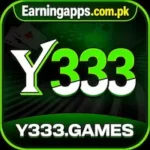 Y333 Game Icon